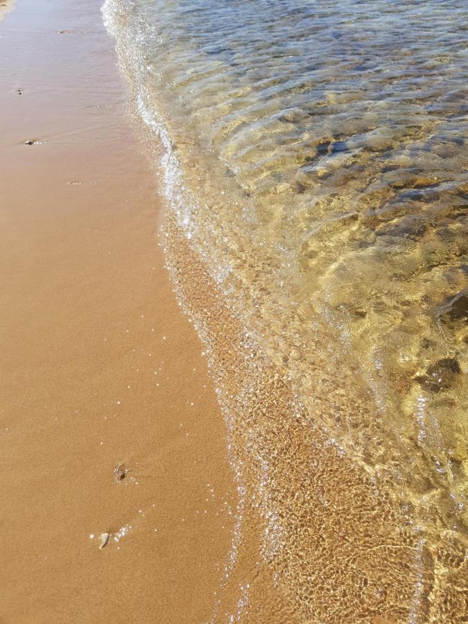 Mare *